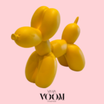 דקו כלב בלון פרייבט קולקשיין