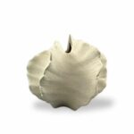 ואזה קורל אייבורי S