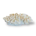 דקו אלמוג בגווני בז S