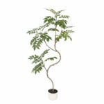 עץ לאקה 170 ס"מ