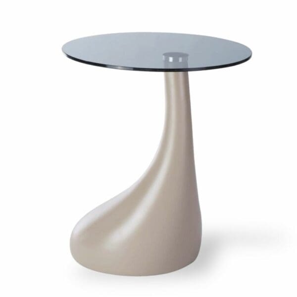 נשכן ניירובי בז זכוכית מושחרת