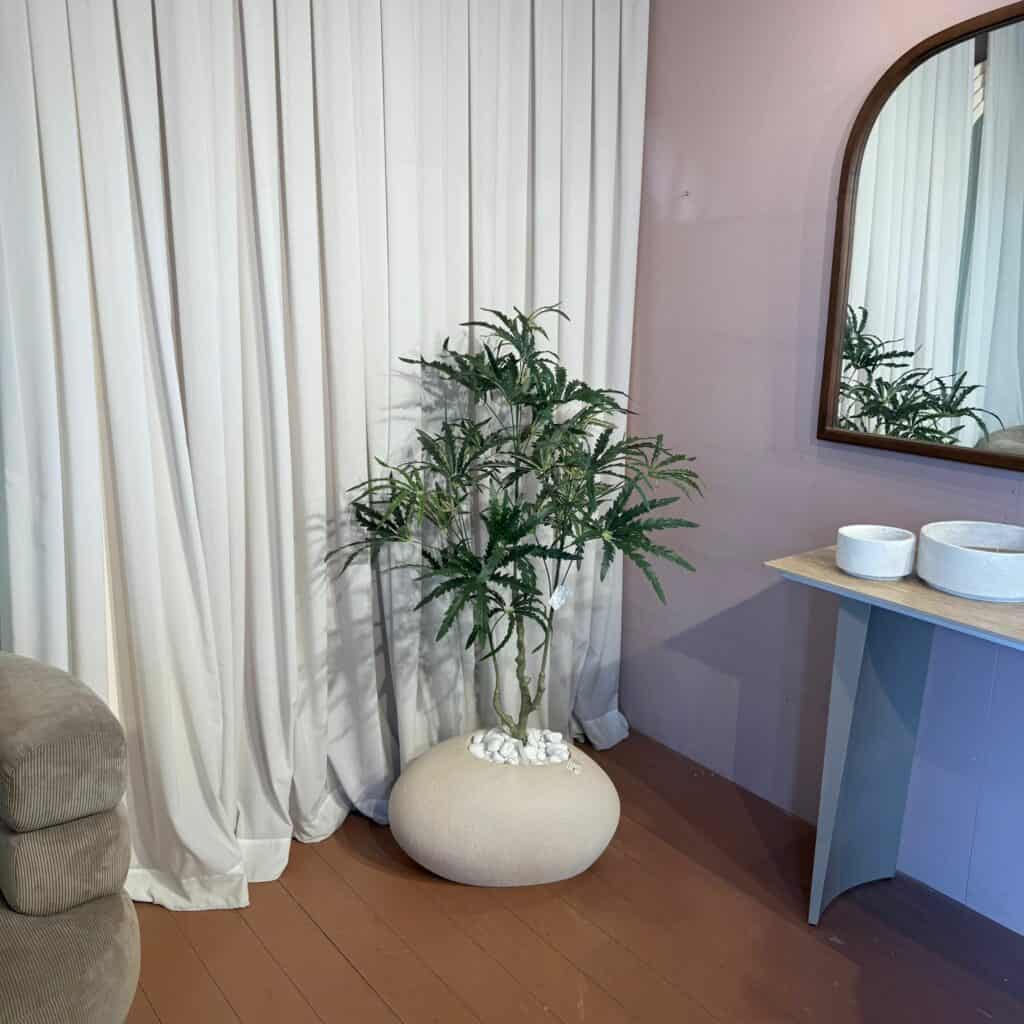 עץ דיזי בשילוב בית עציץ ביצה בז S