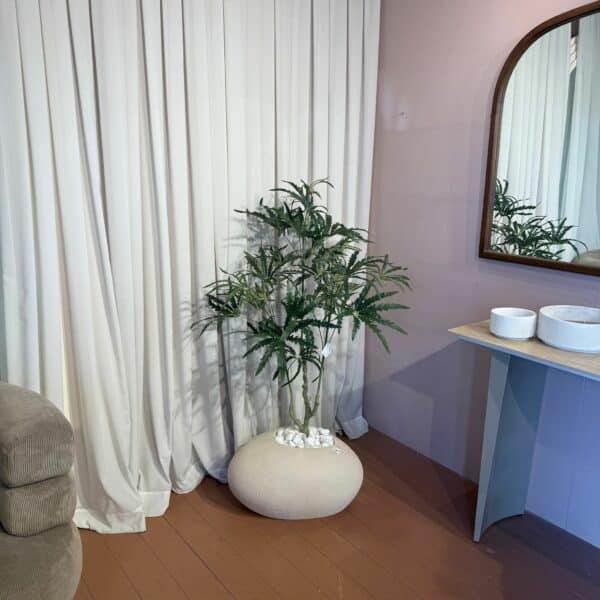 עץ דיזי בשילוב בית עציץ ביצה בז S