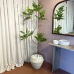 עץ לאקה בשילוב בית עציץ אמורפי אבן