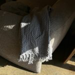 כרבולית וופל במבחר גוונים וגדלים