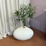 עץ זית בשילוב בית עציץ ביצה S