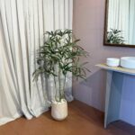 עץ דיזי בשילוב בית עציץ דמוי טרוונטין