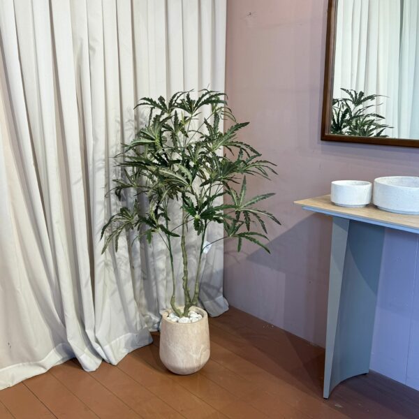 עץ דיזי בשילוב בית עציץ דמוי טרוונטין