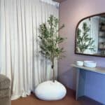 עץ זית בשילוב בית עציץ ביצה L