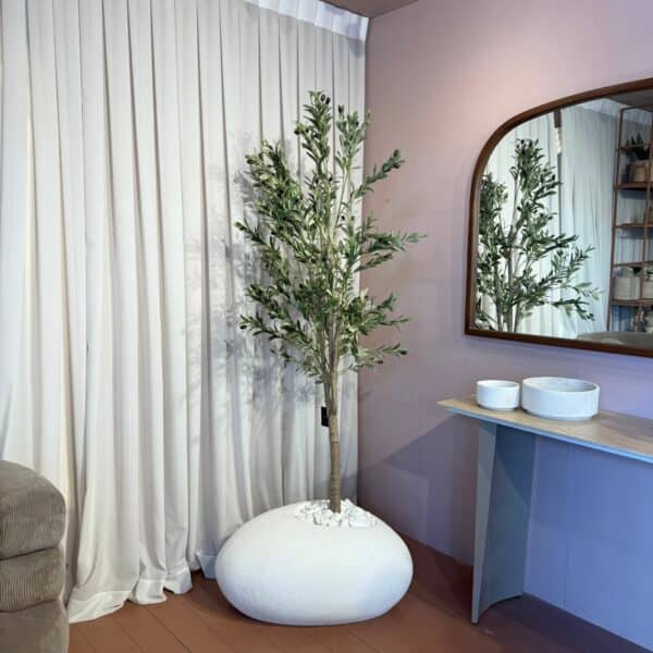 עץ זית בשילוב בית עציץ ביצה L